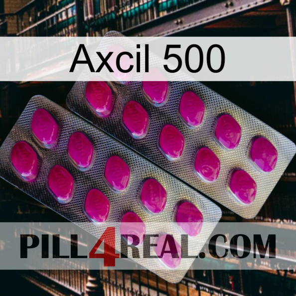 Axcil 500 10.jpg